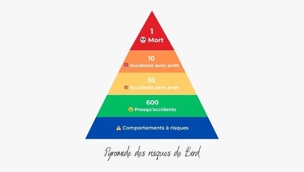 Pyramide des risques de Bird